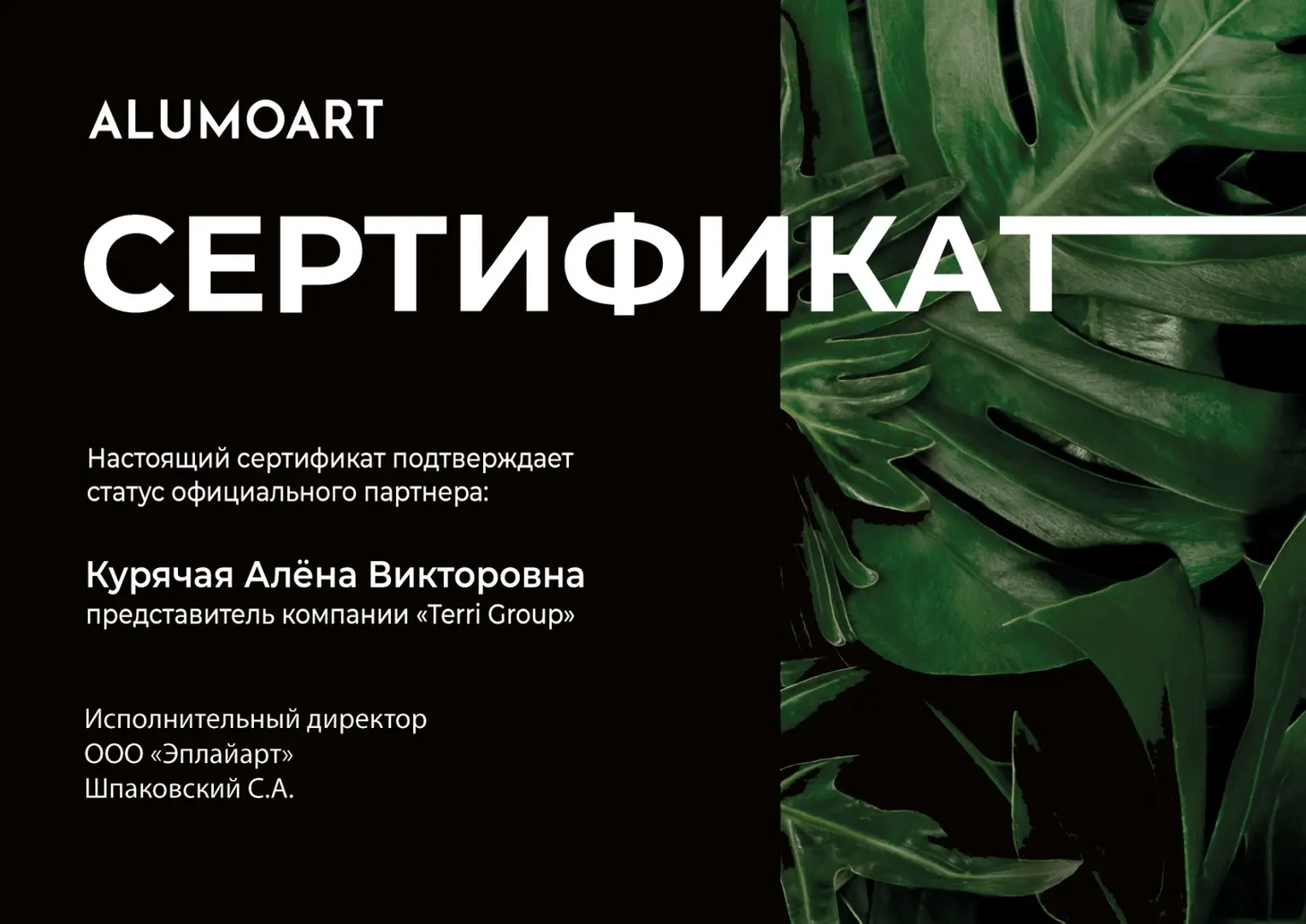 Наши сертификаты